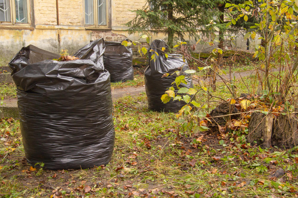 The Ultimate Guide to Removing Yard Waste After a Major Cleanup